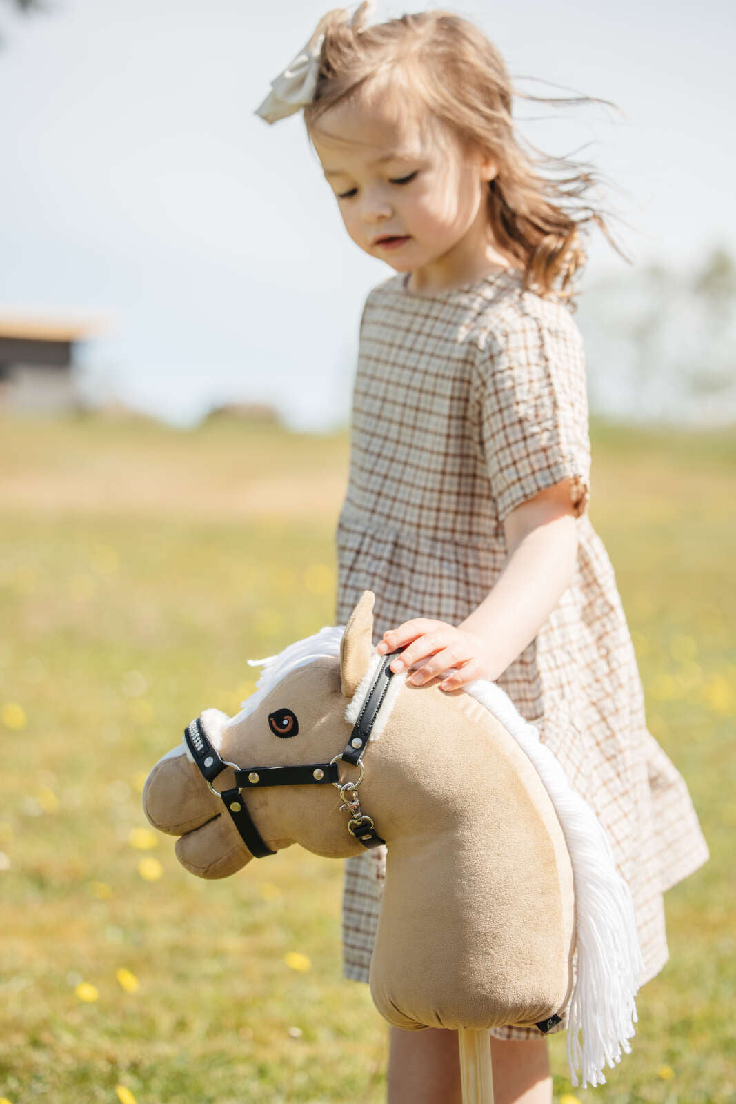 My Hobby Horse grimma med plysch och stenar