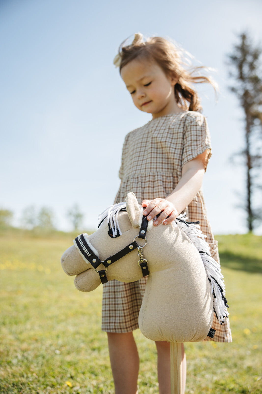 My Hobby Horse grimma med plysch och stenar