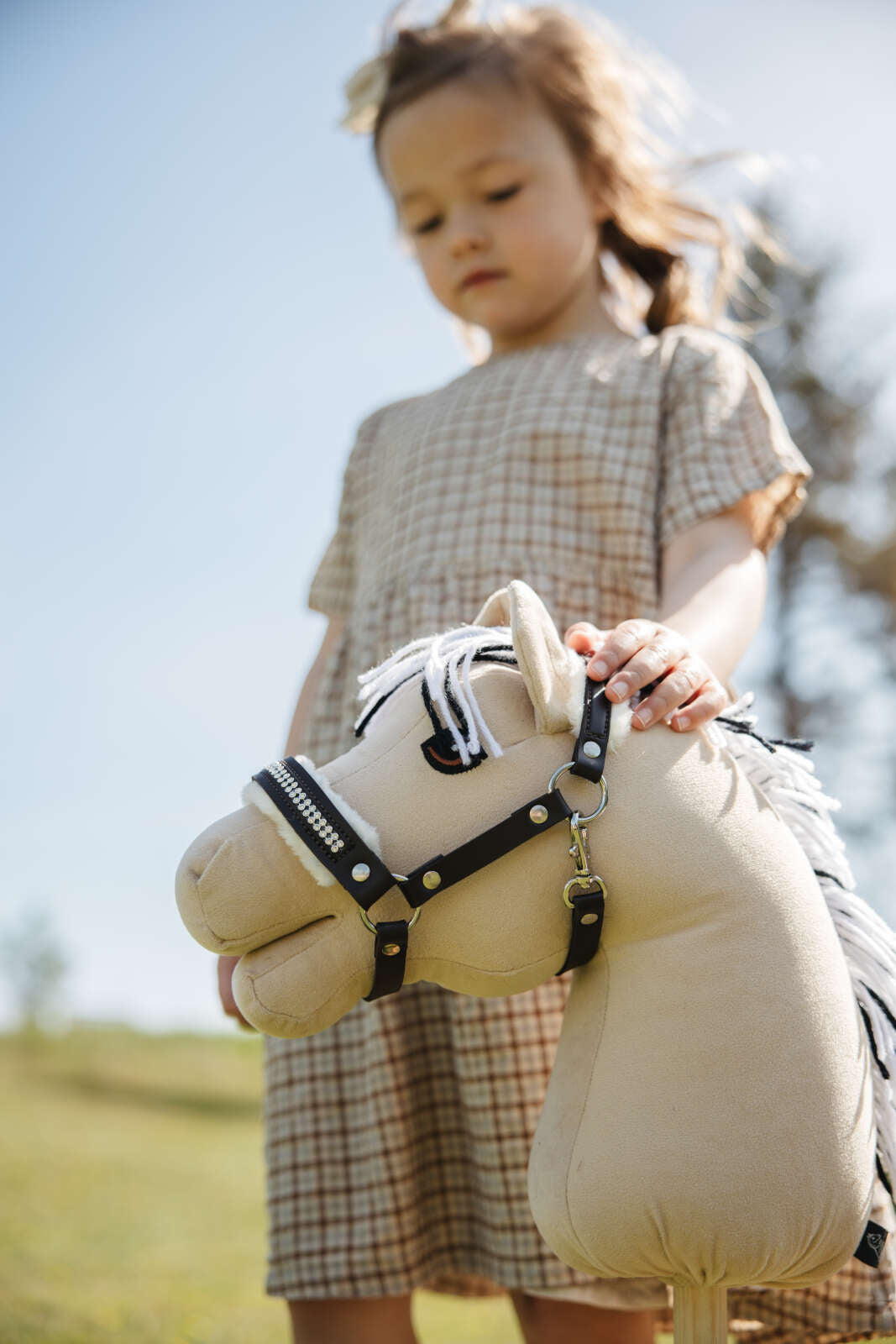 My Hobby Horse grimma med plysch och stenar