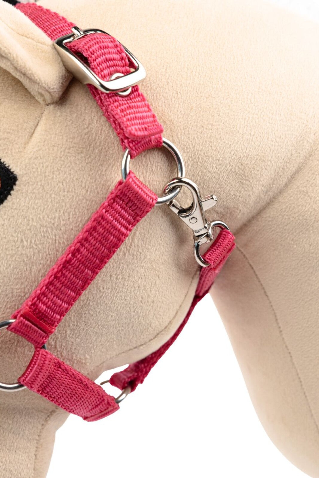 My Hobby Horse Halfter