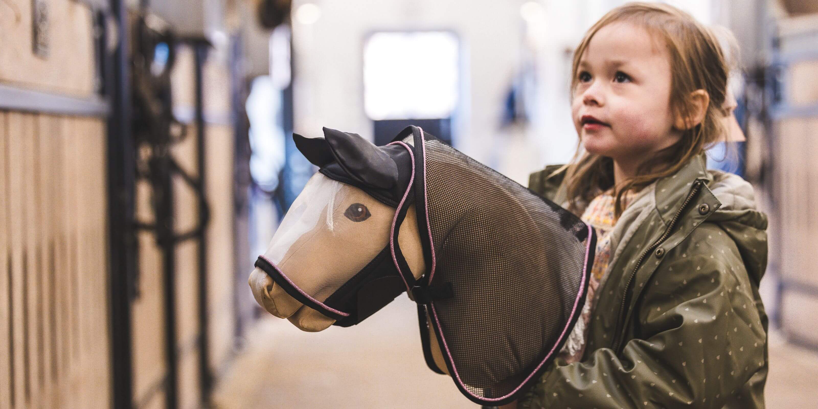 Hobby Horse with fly rug and fly mask