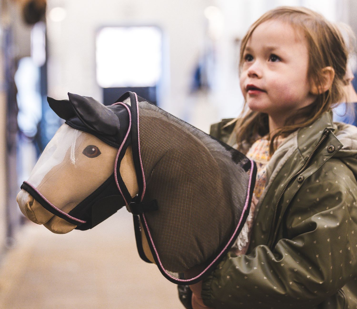 Hobby Horse with fly rug and fly mask