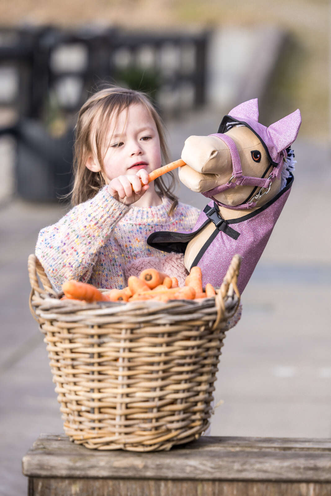 My Hobby Horse Decke & Fliegenhaube, Rosa Glitzer