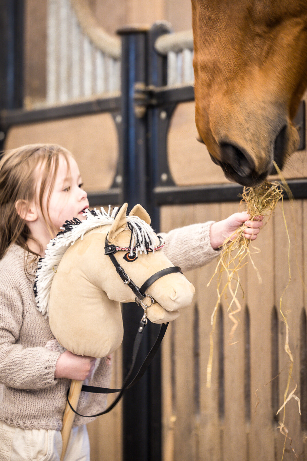 My Hobby Horse Pannband, svart med rosa stenar