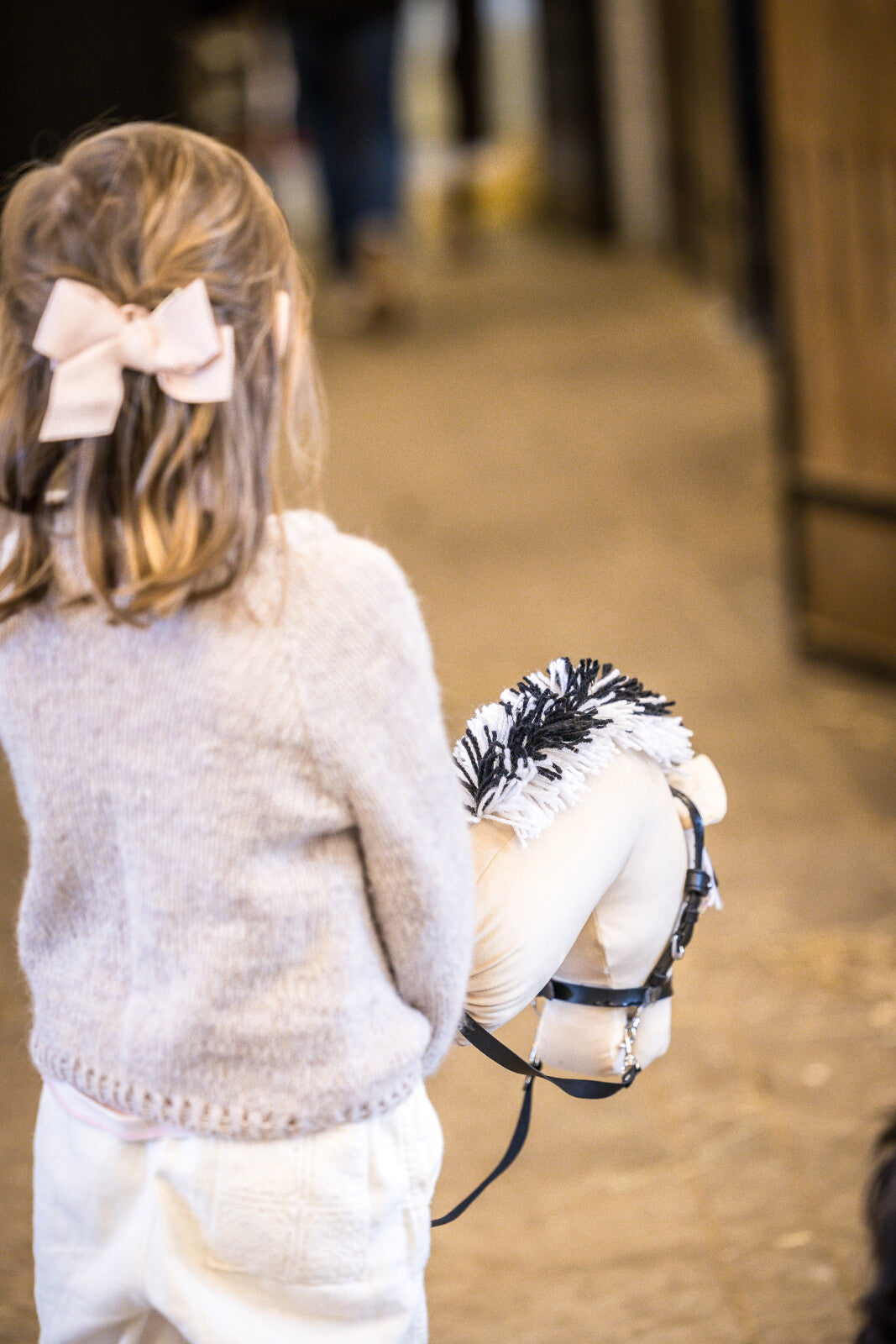 My Hobby Horse Fjord