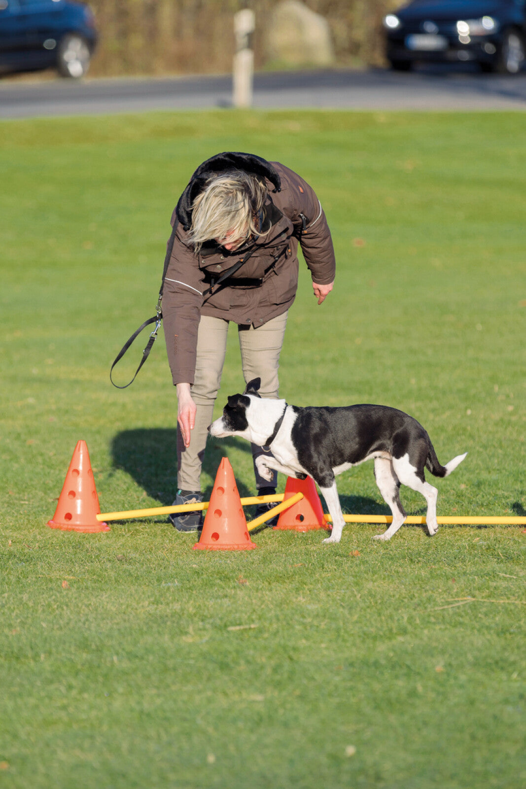 Trixie Trainingskegelsatz mit Stangen, 30cm