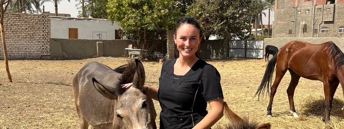 Woman, donkey and horse in Eqypt