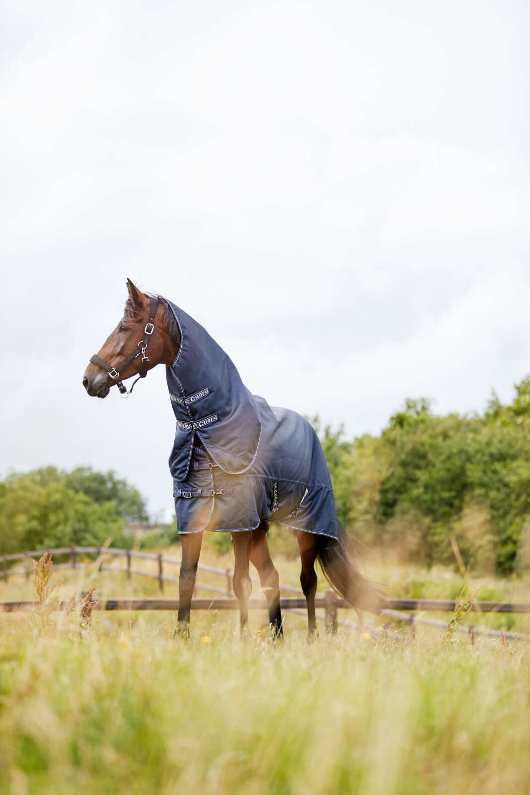 Horse Guard Millan 1200D turnout-dekken med avtagbar hals 100 g
