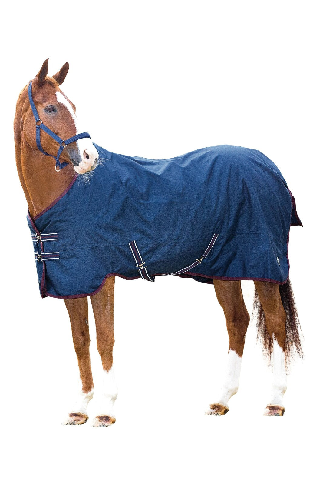 HorseGuard Turnout rug 600D 0g
