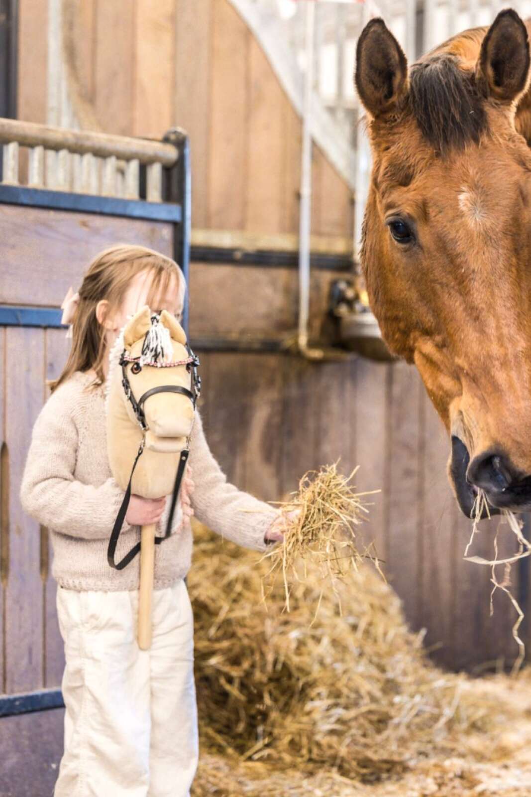 My Hobby Horse Pannband, svart med rosa stenar