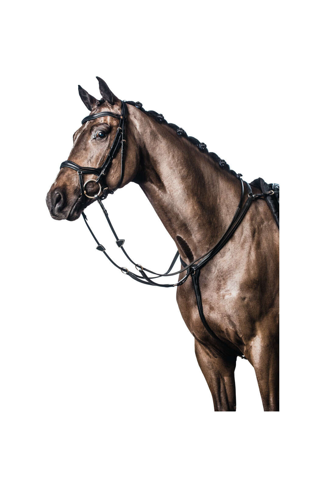 HorseGuard Soft lær brystplate