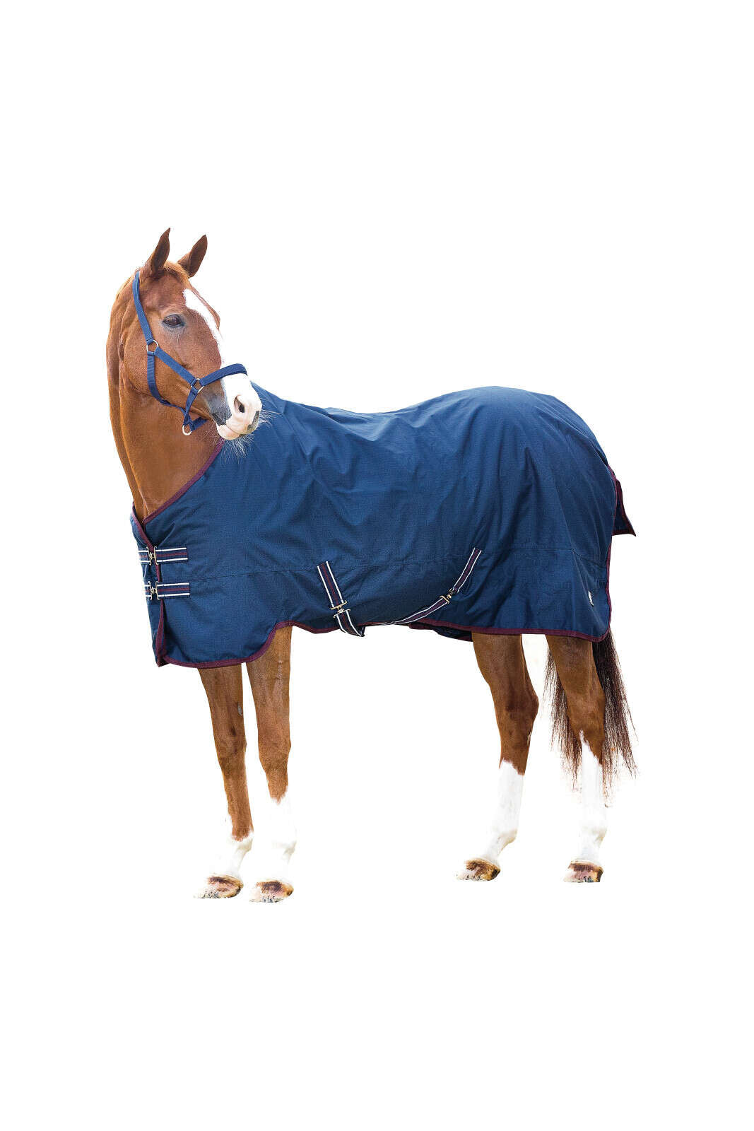 HorseGuard Turnout Decke 600D 0g