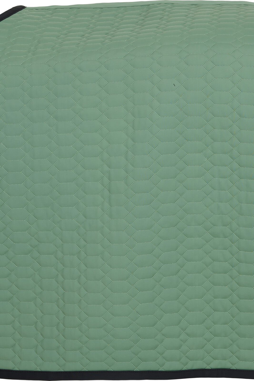 CATAGO FIR-Tech Grand quarter rug