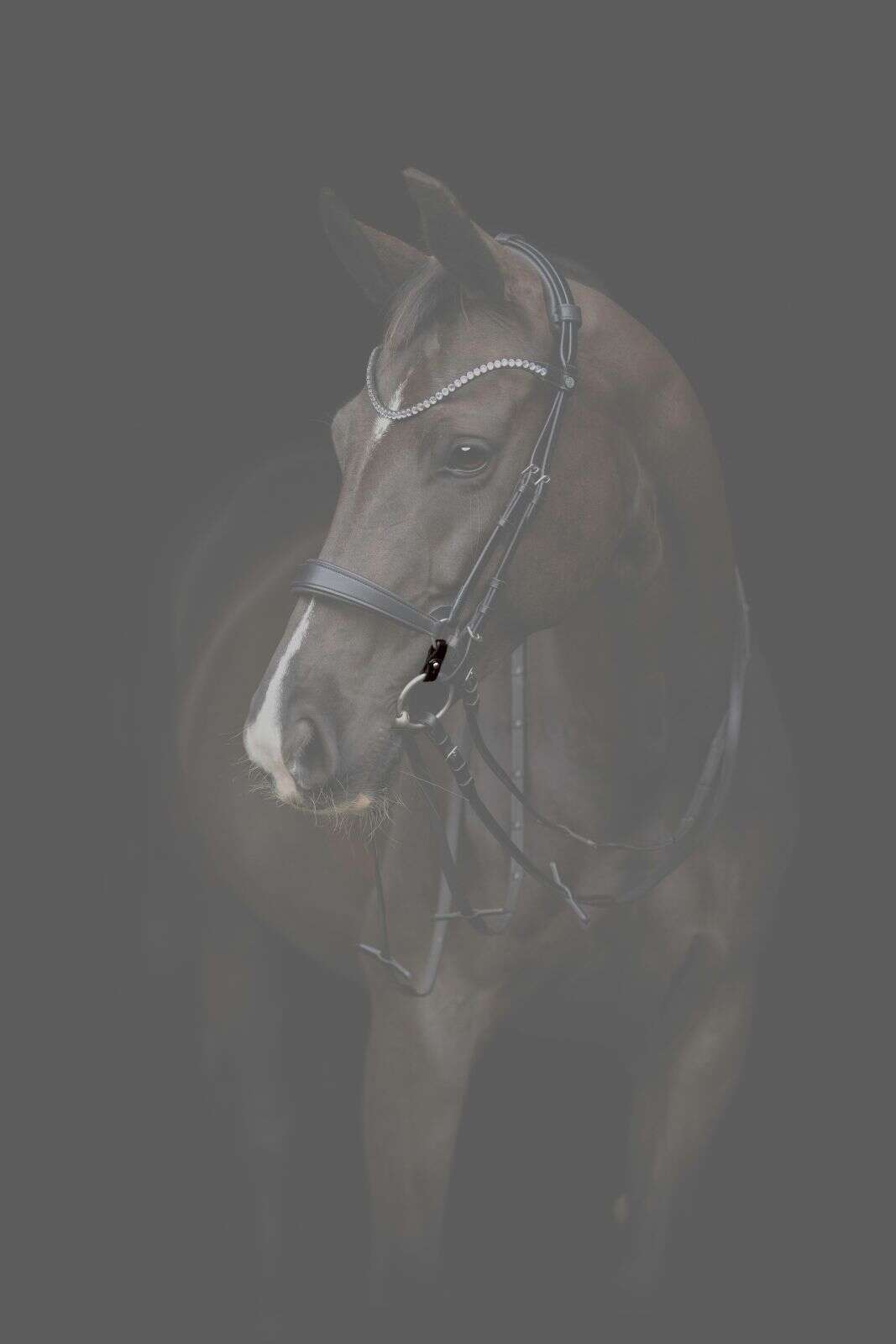 Catago Gentle-samleringe