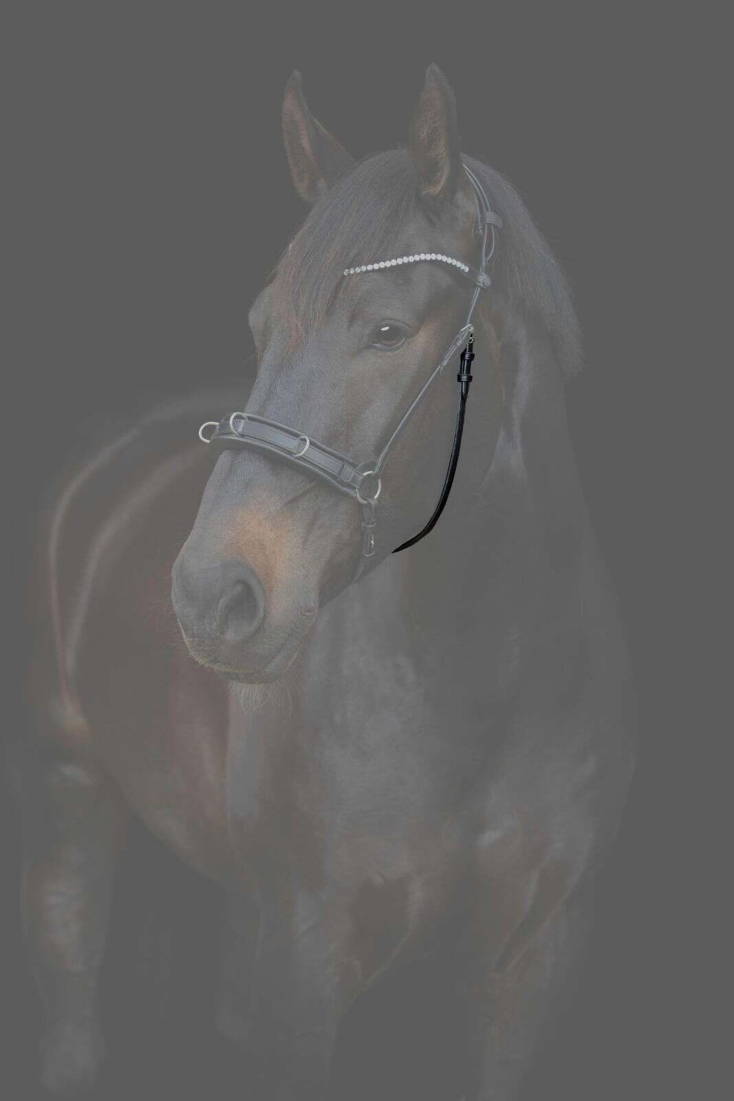 Catago Gentle-kæberem med spænder