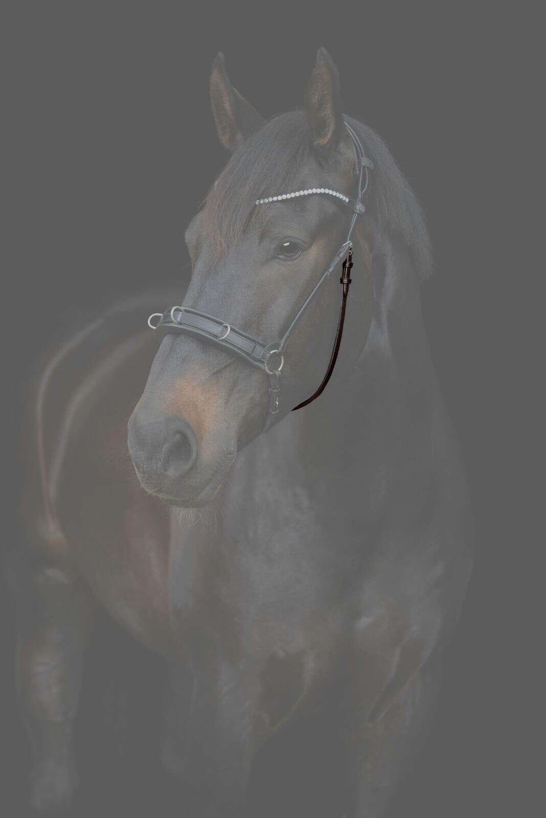 Catago Gentle-kæberem med spænder