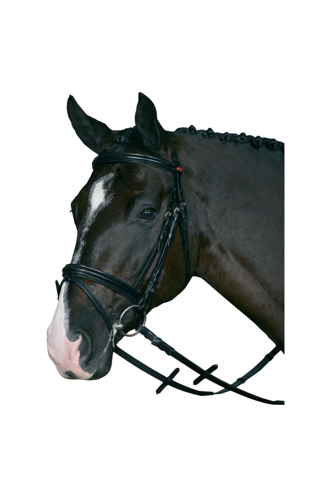 HorseGuard Träns m/supergrip