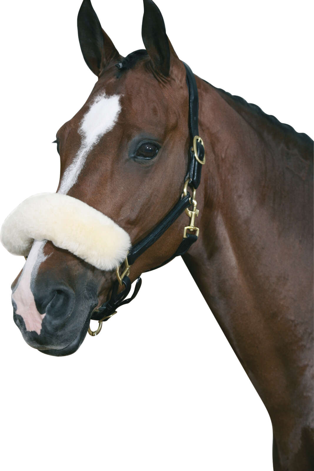 HorseGuard Lammeskinds næsebeskytter