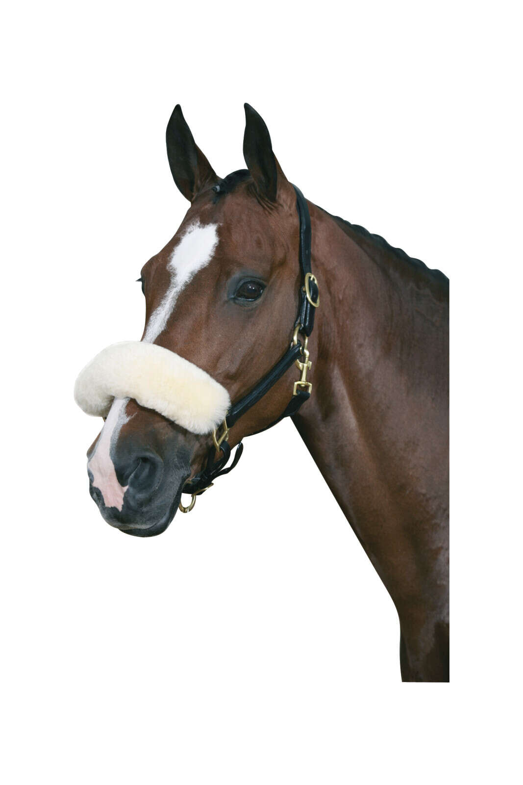 HorseGuard Lammeskinds næsebeskytter