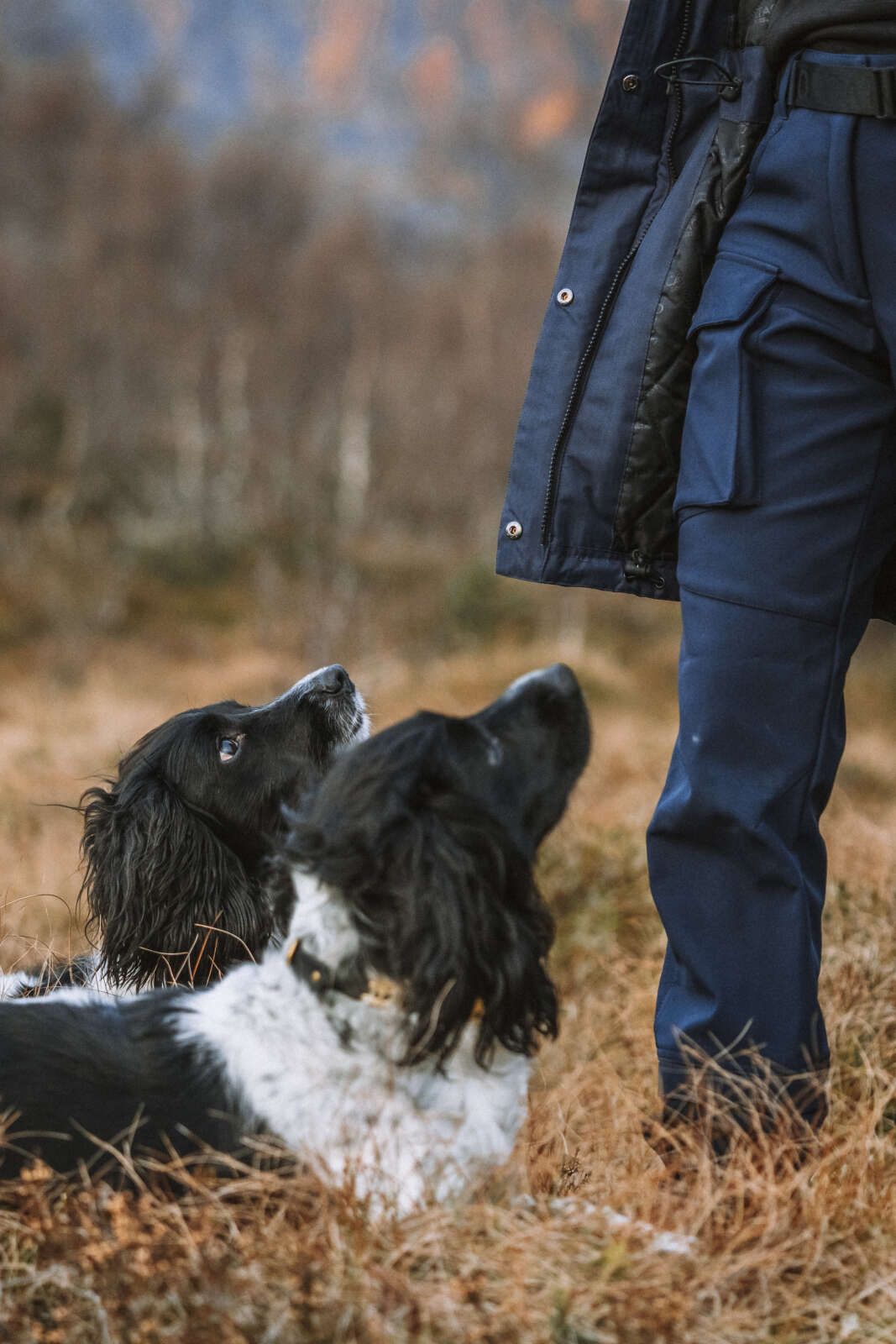 CATAGO Trainer pants