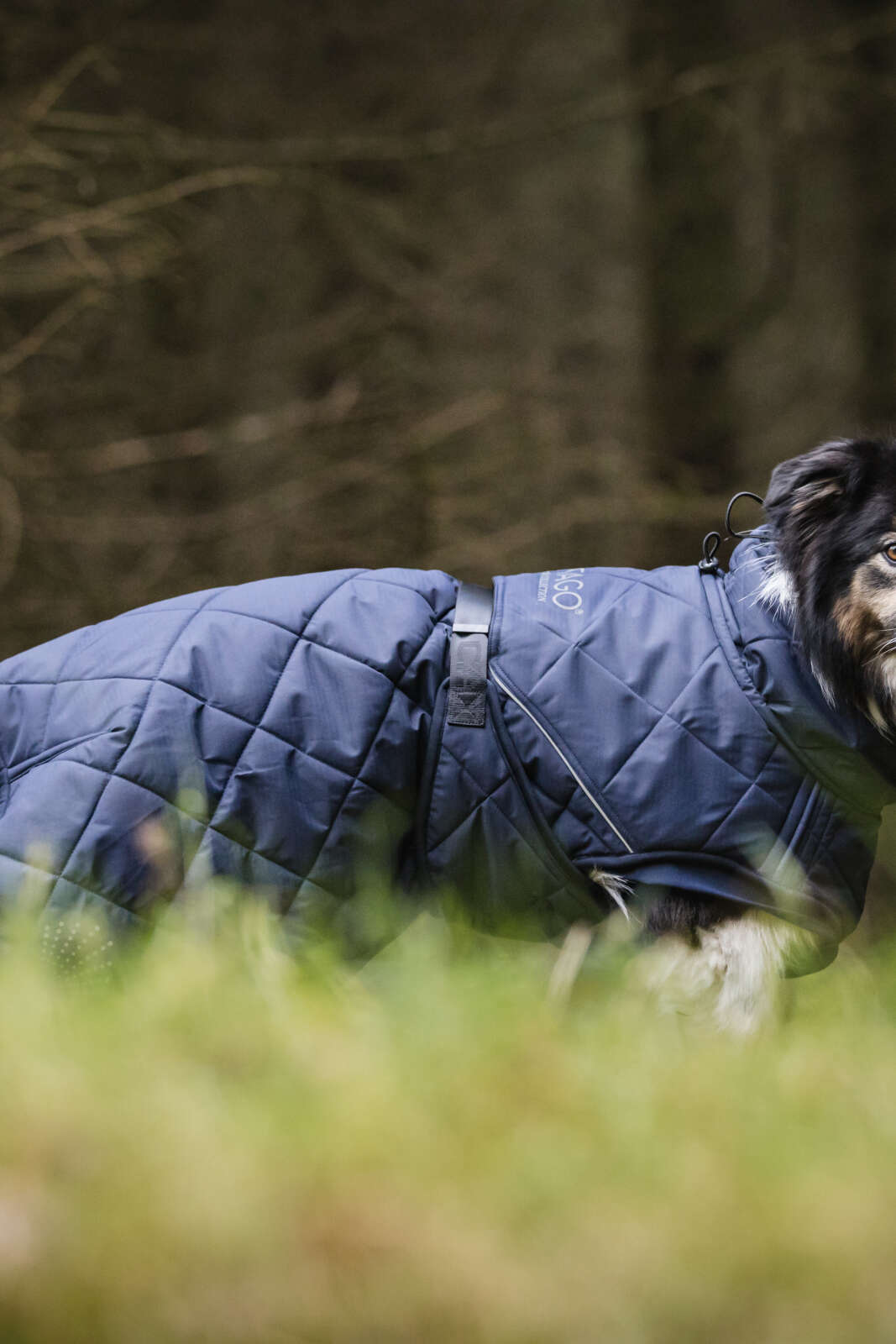 CATAGO FIR-Tech Trainer hundedækken