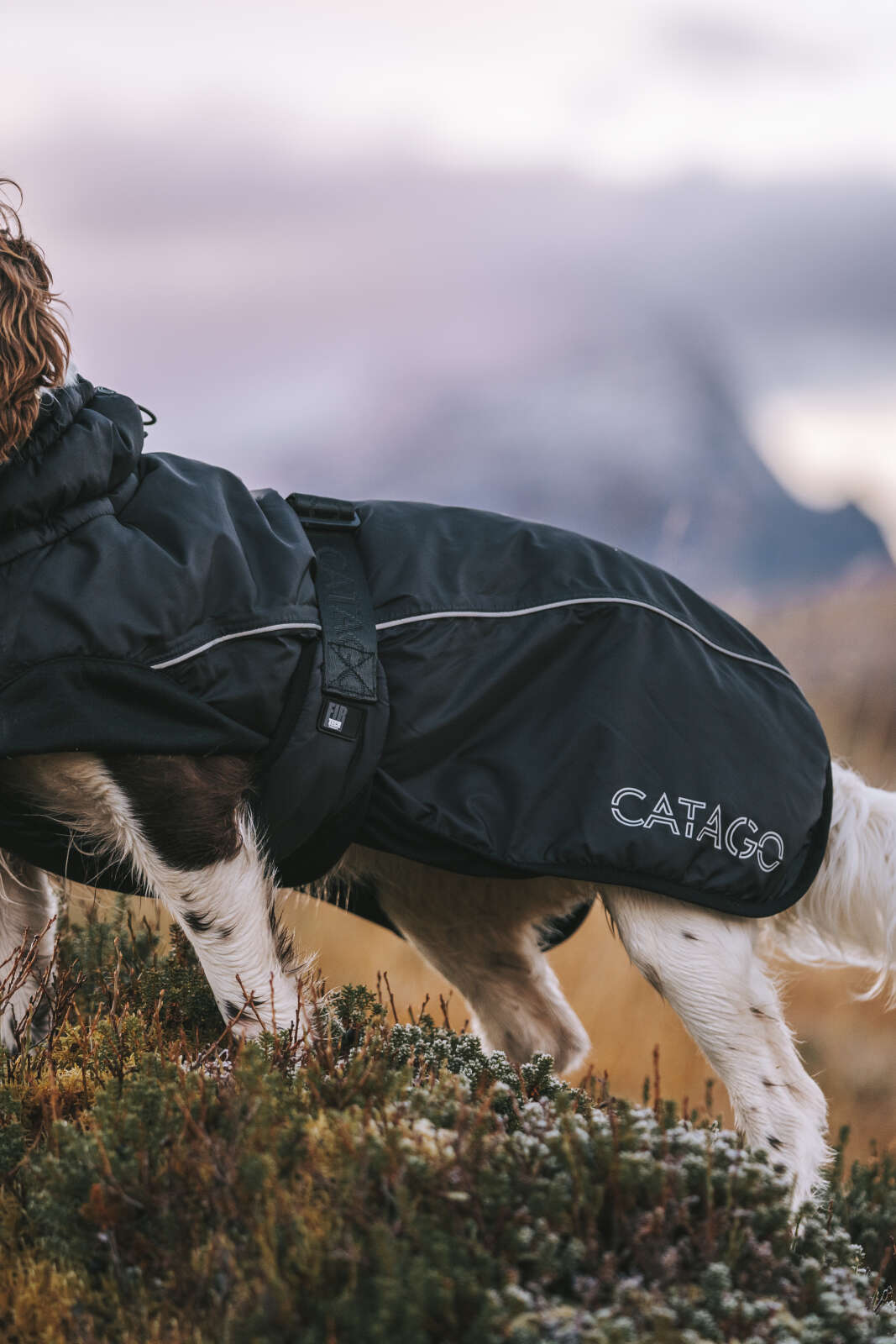 CATAGO FIR-Tech Vinter hundedækken