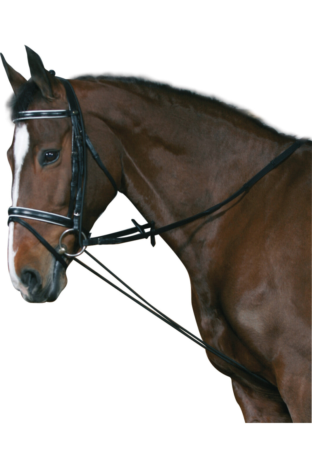 Elastic chambon