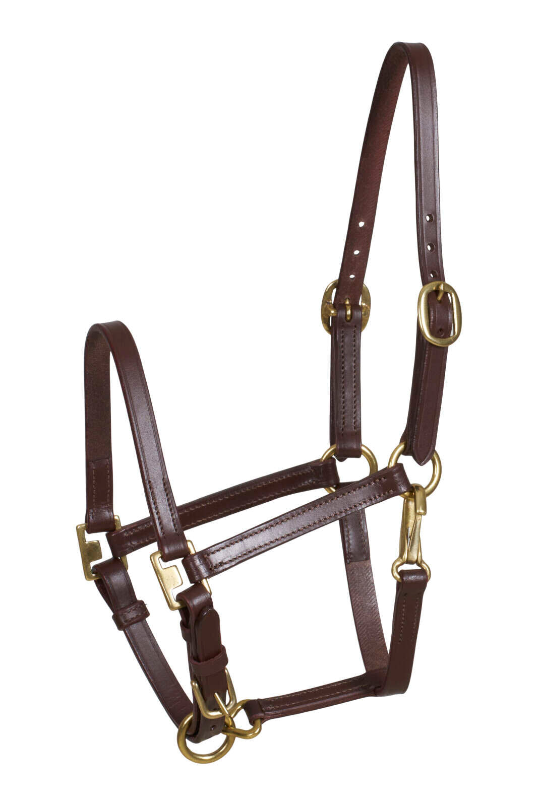 HorseGuard Cheval foal halter