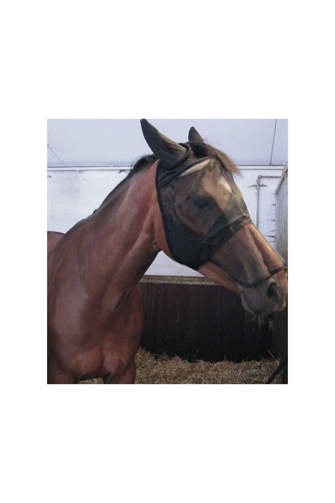 HorseGuard Mask w/nosepiece