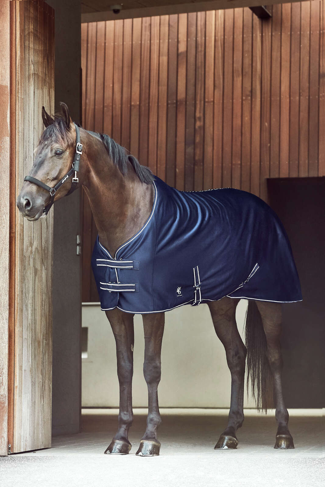 Horse Guard Jersey cooler-dekken