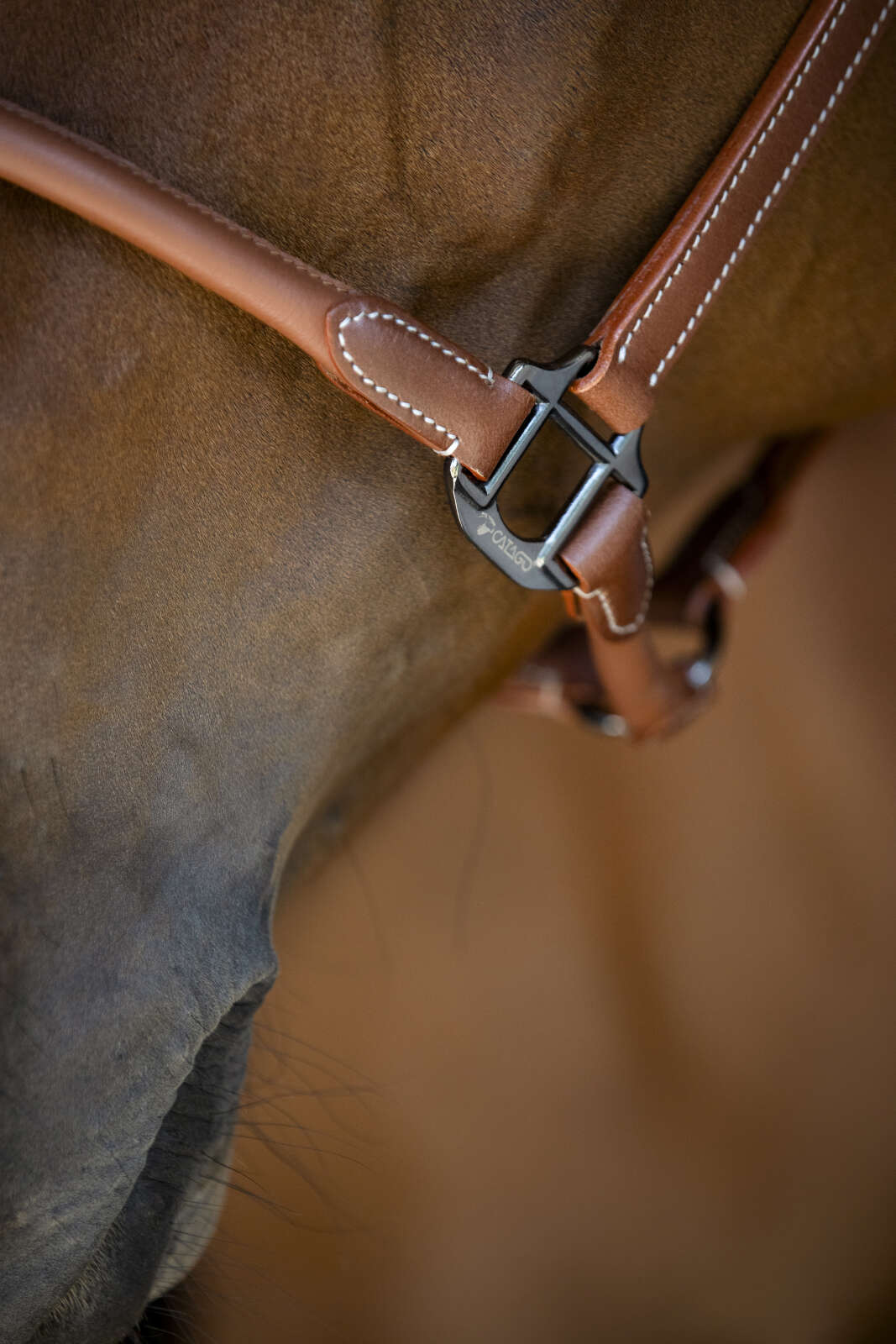 Catago Leather halter