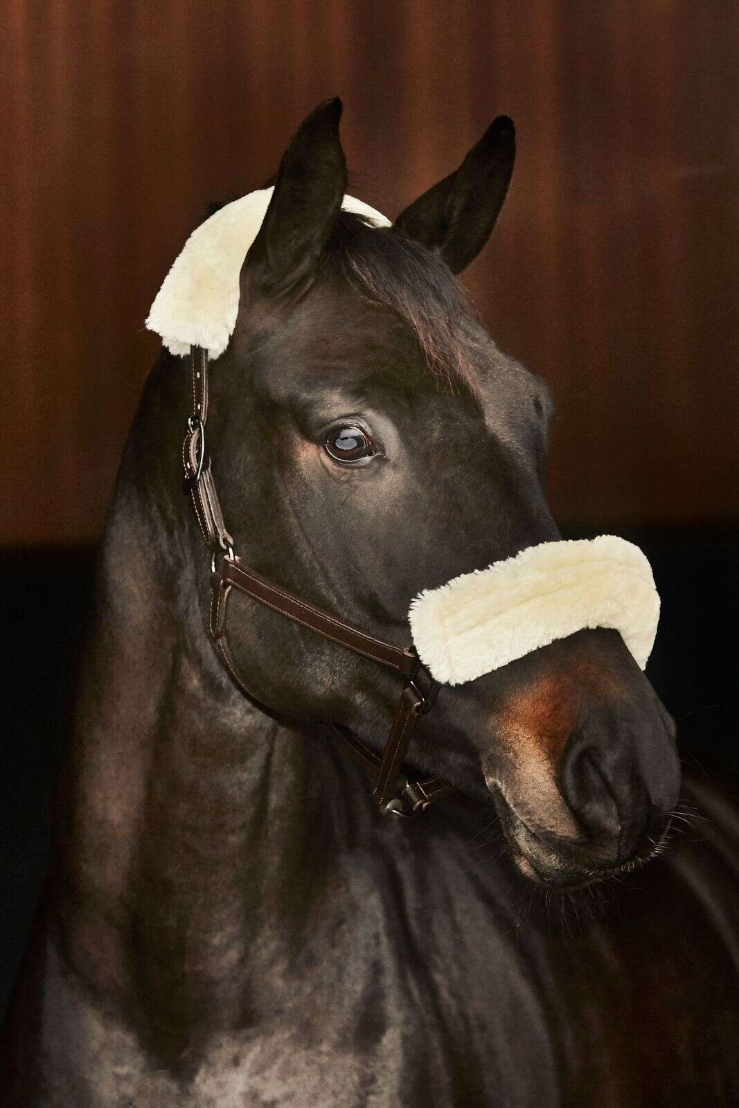 CATAGO læder grimer m im. lammeskind