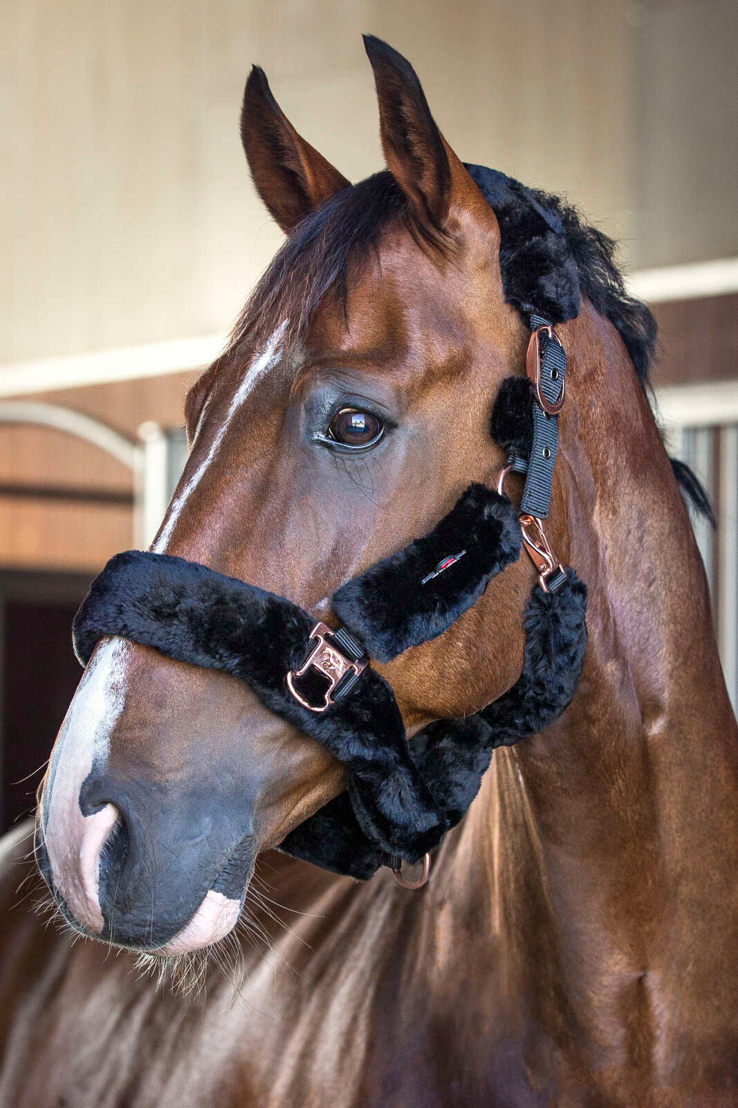 CATAGO grime m. im. Lammeskind