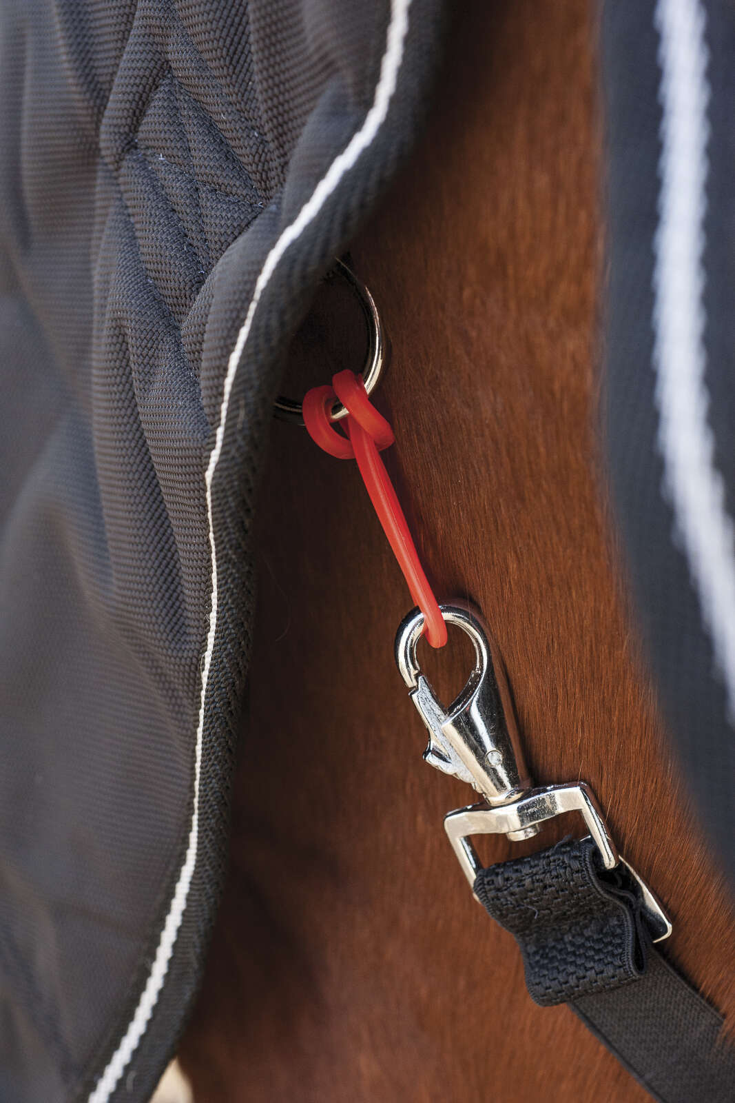 Horse Guard SafeGum