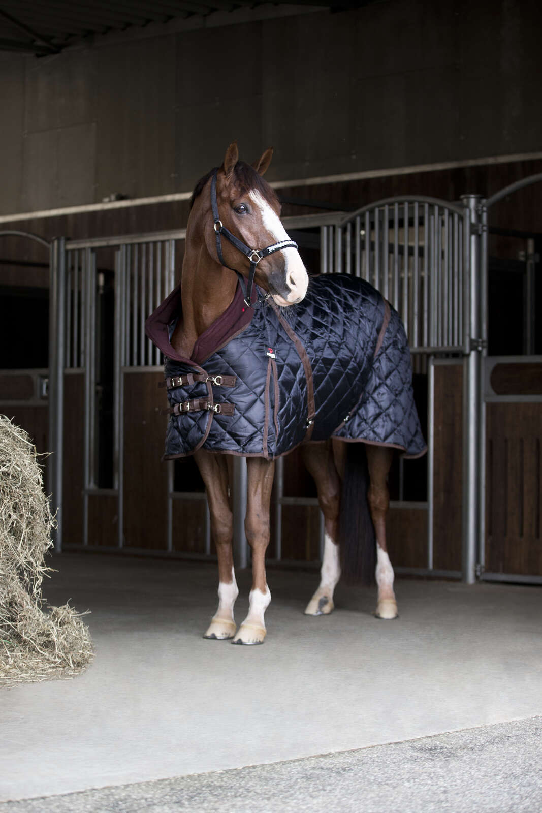 CATAGO Stalddækken 500g