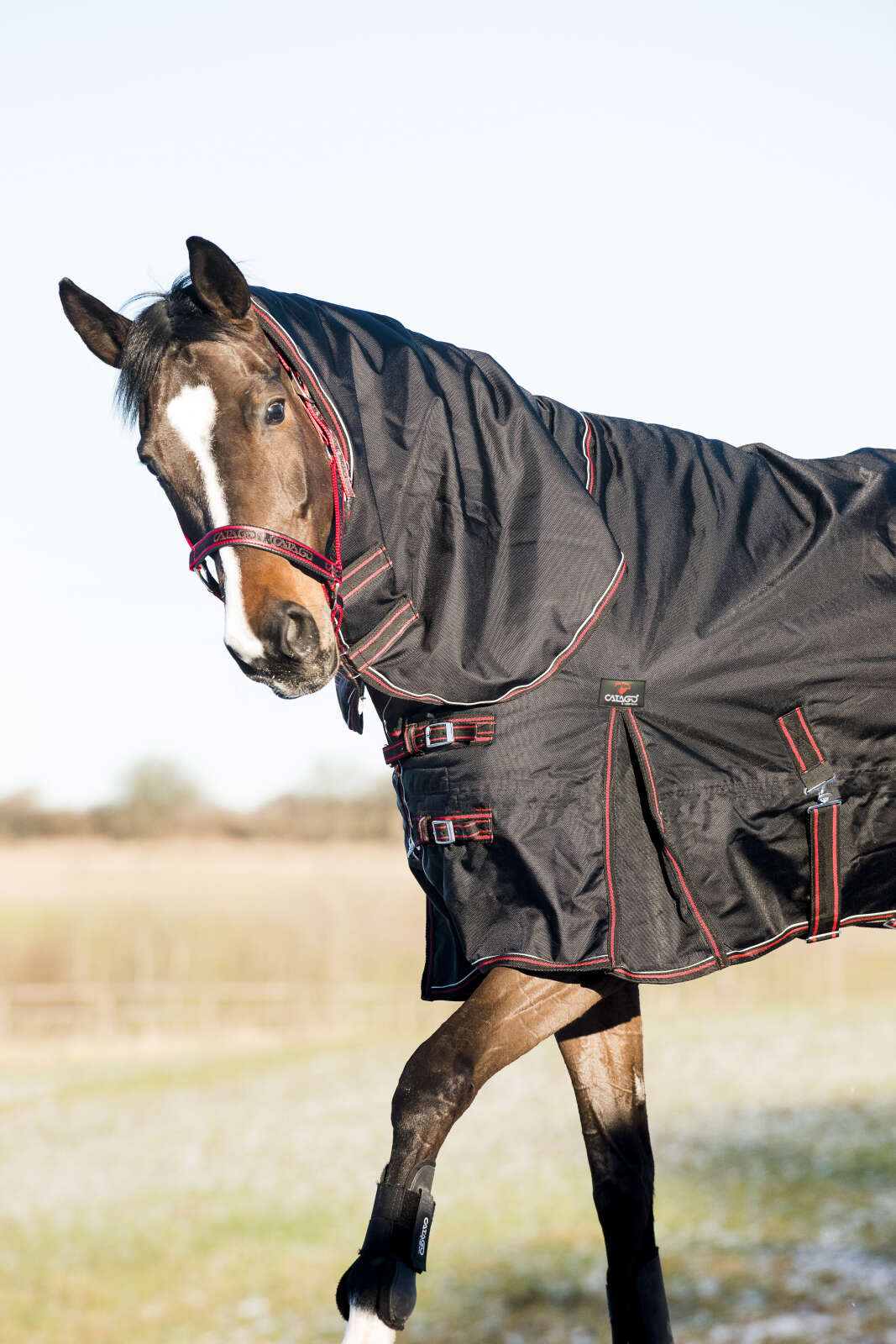 CATAGO Endurance rug 300g