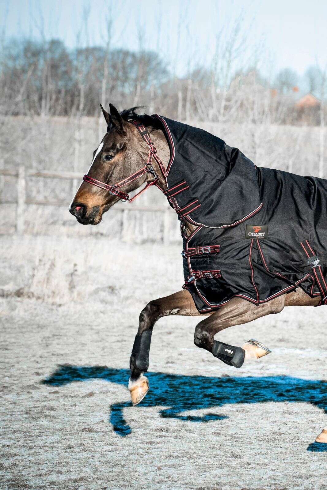 CATAGO Endurance hals