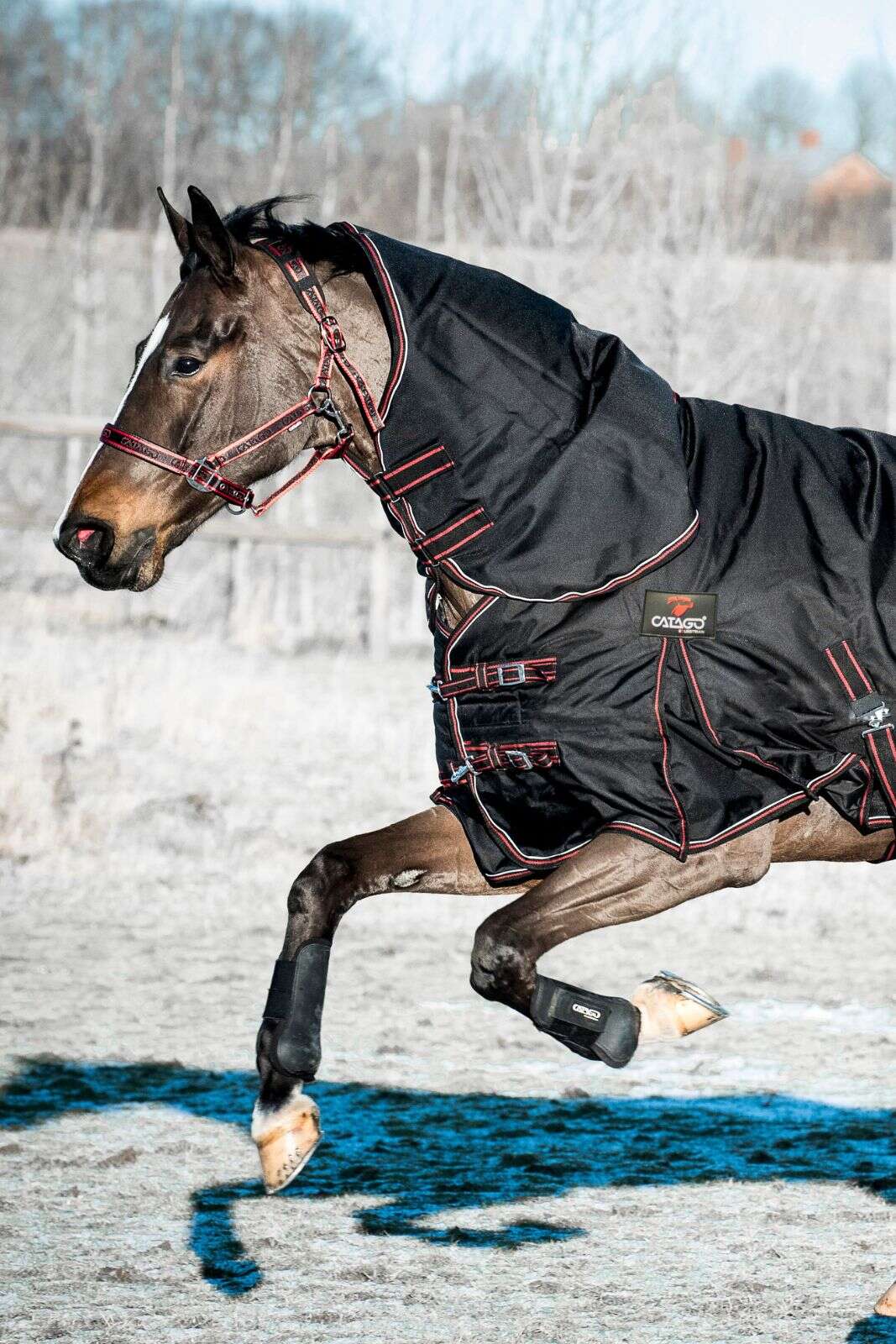 CATAGO Endurance hals