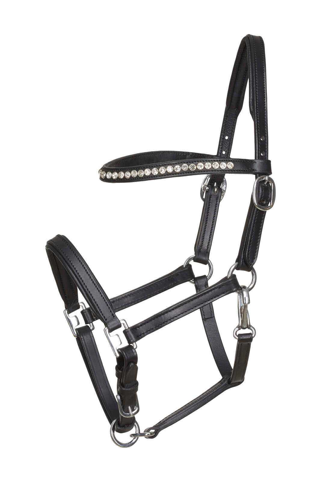 HorseGuard Foal showhalter