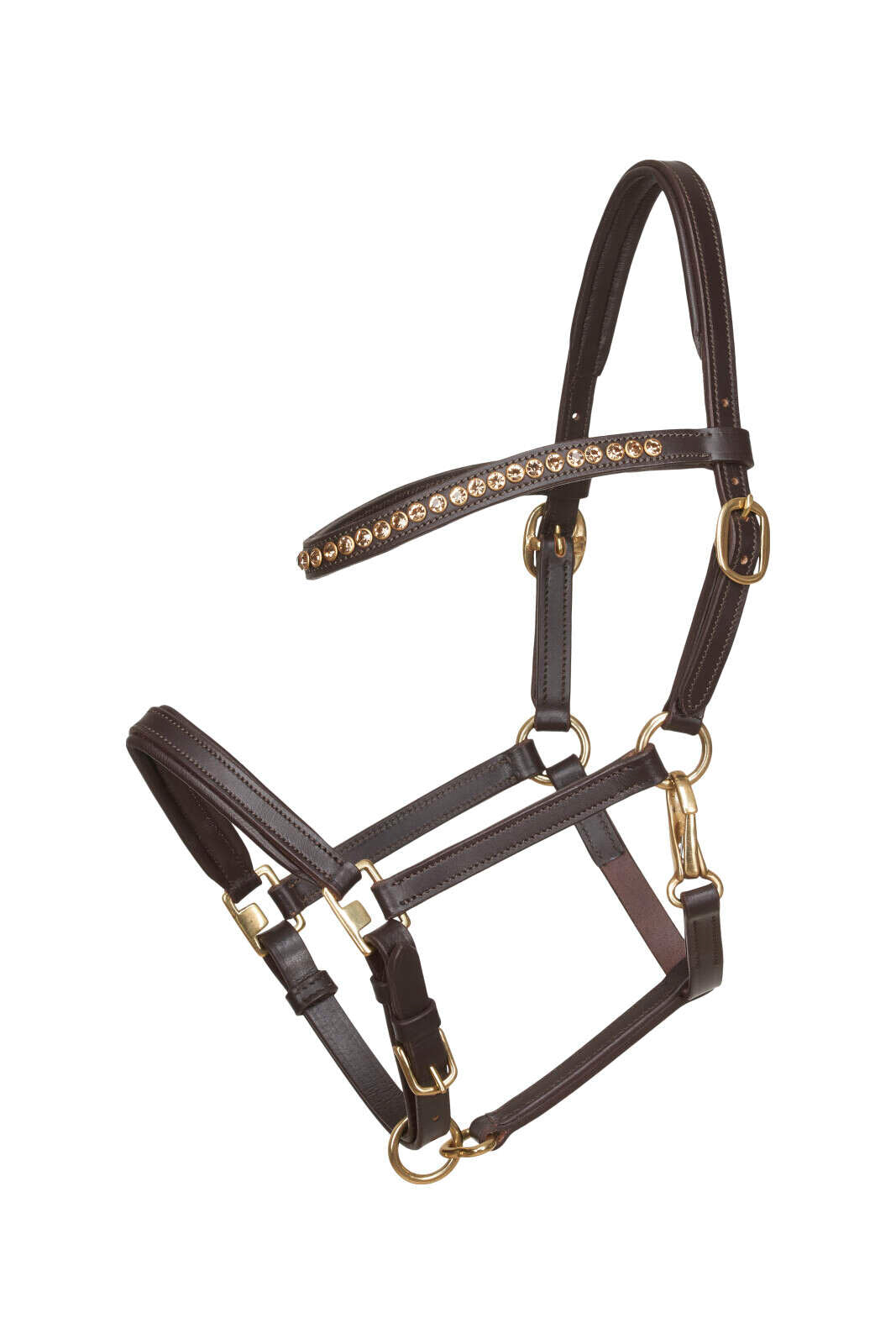 HorseGuard Foal showhalter