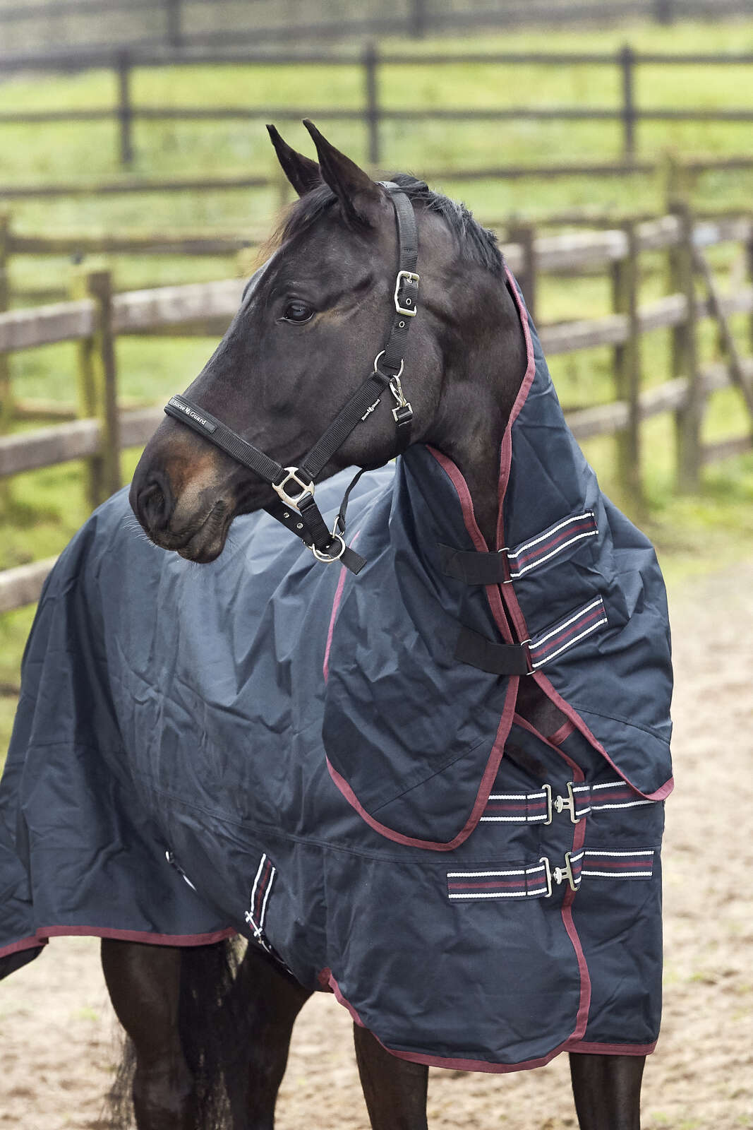 HorseGuard Turnout dækken 600D med aftagelig hals, 200g