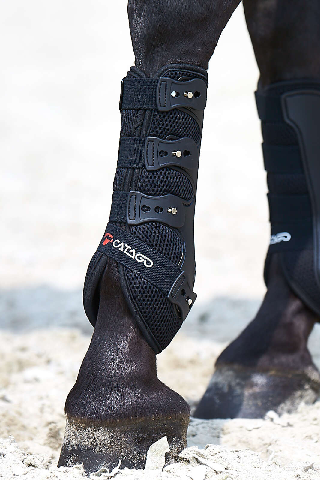 Catago FIR-Tech dressurbelegg