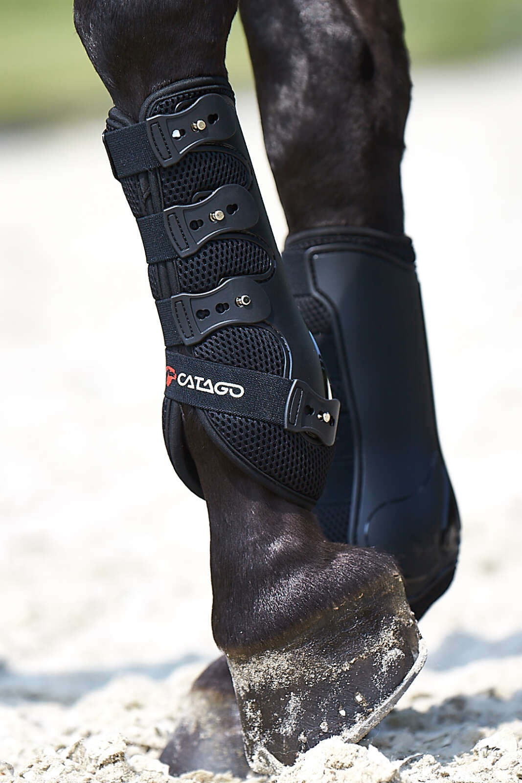 Catago FIR-Tech dressurbelegg