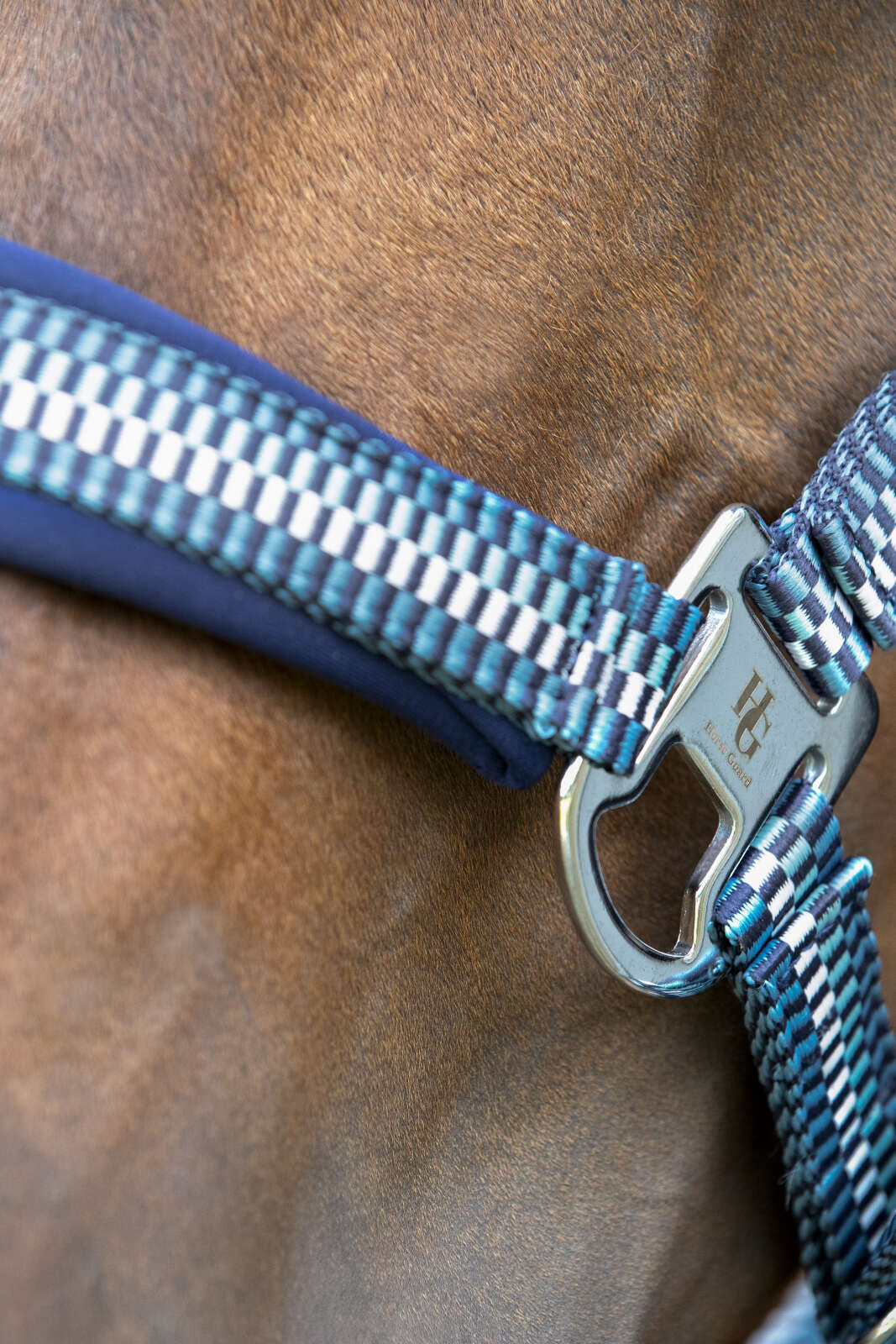 Horse Guard Cole halter