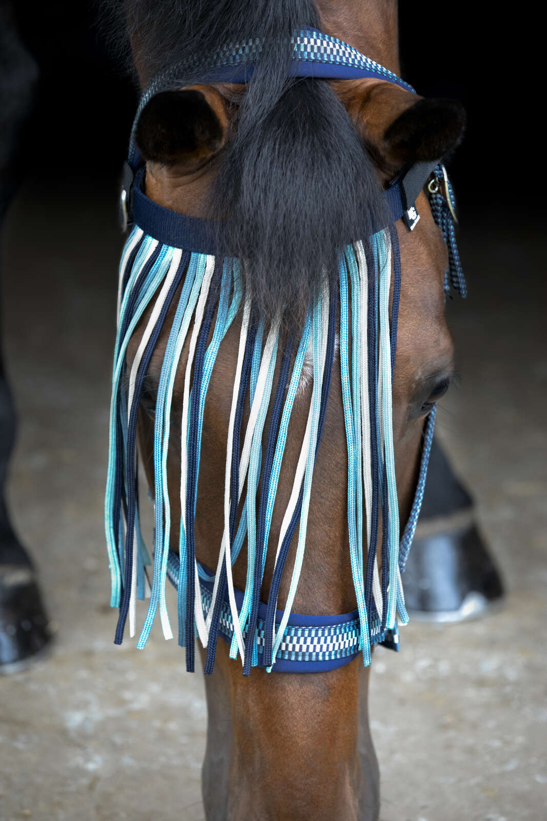 Horse Guard Cole-fluepandebånd