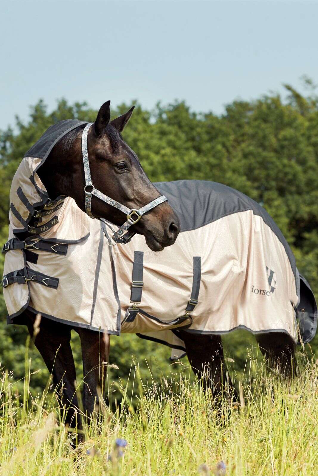 Horse Guard Honour Fly Rug w/ Neck & Waterproof Top