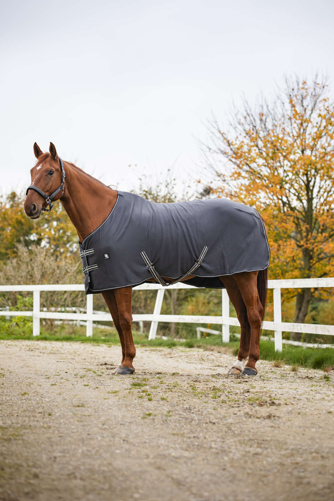 Horse Guard Jersey cooler-täcke