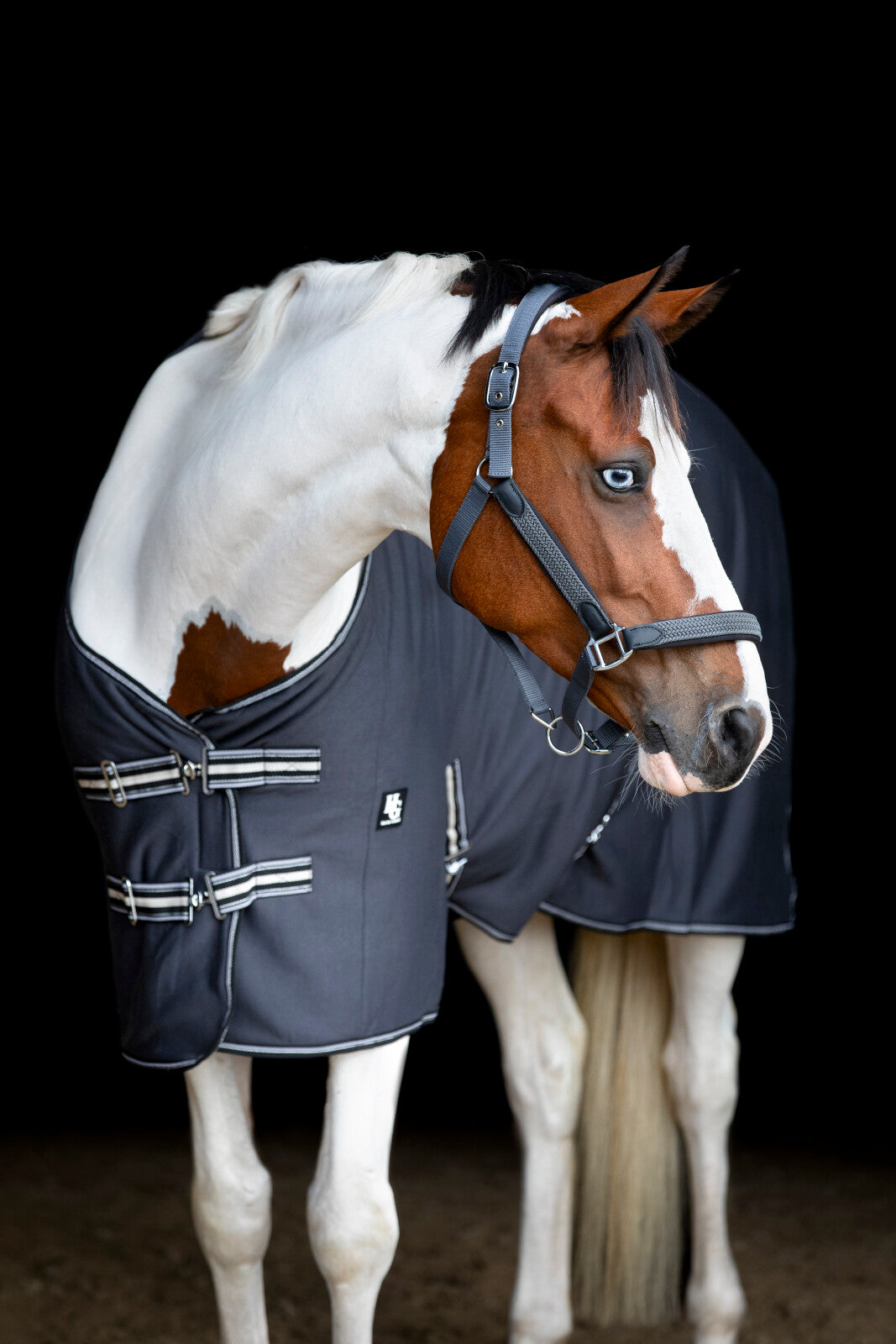 HorseGuard Jersey Cooler täcke