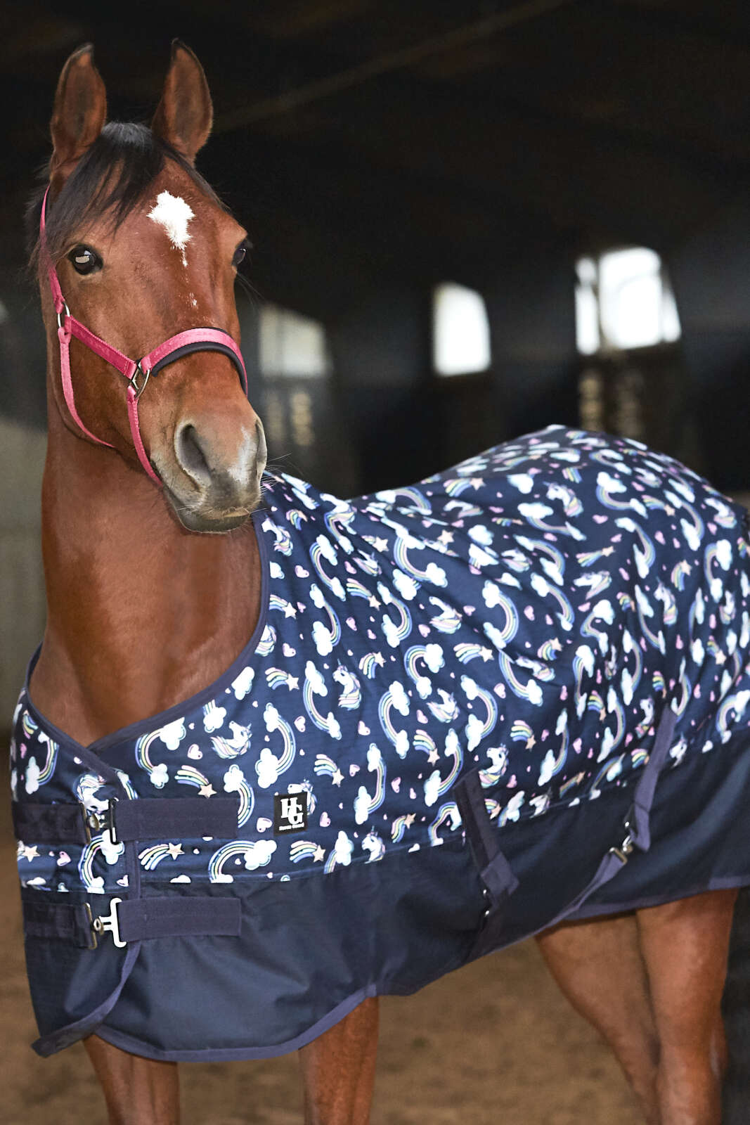 HorseGuard Josh udedækken 600D 200g