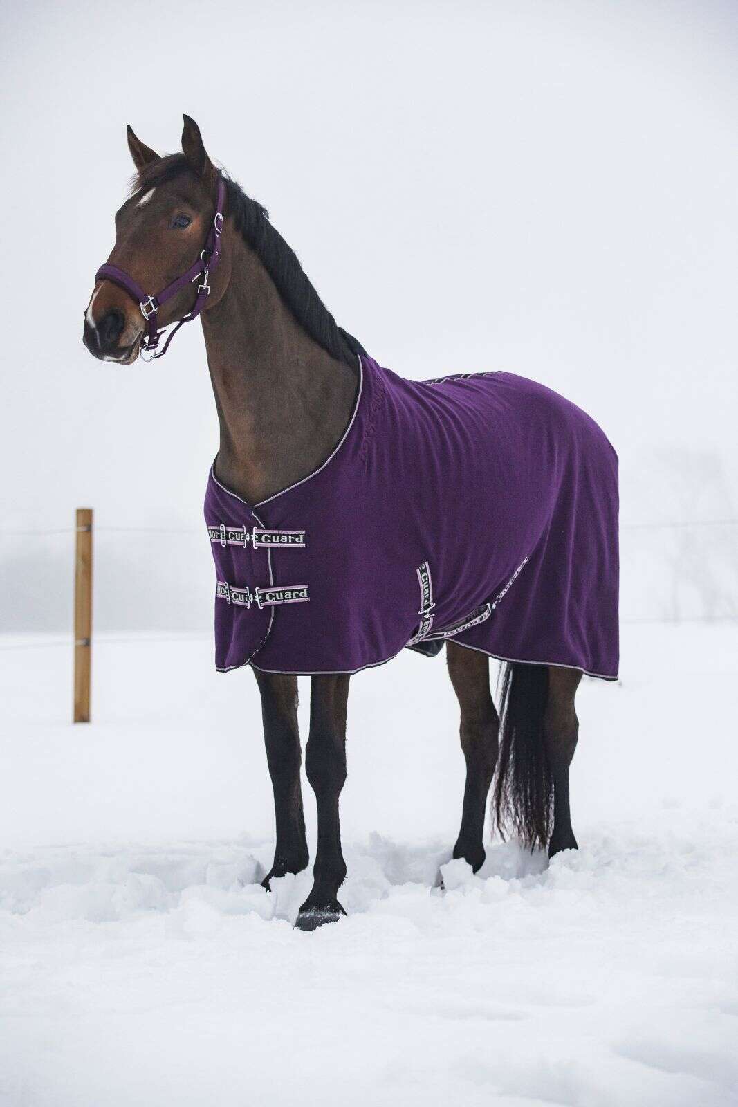 Horse Guard Layne fleece täcke m/teddy